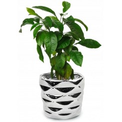 DONICZKA OSŁONKA CERAMICZNA NOWOCZESNA 12,5CM