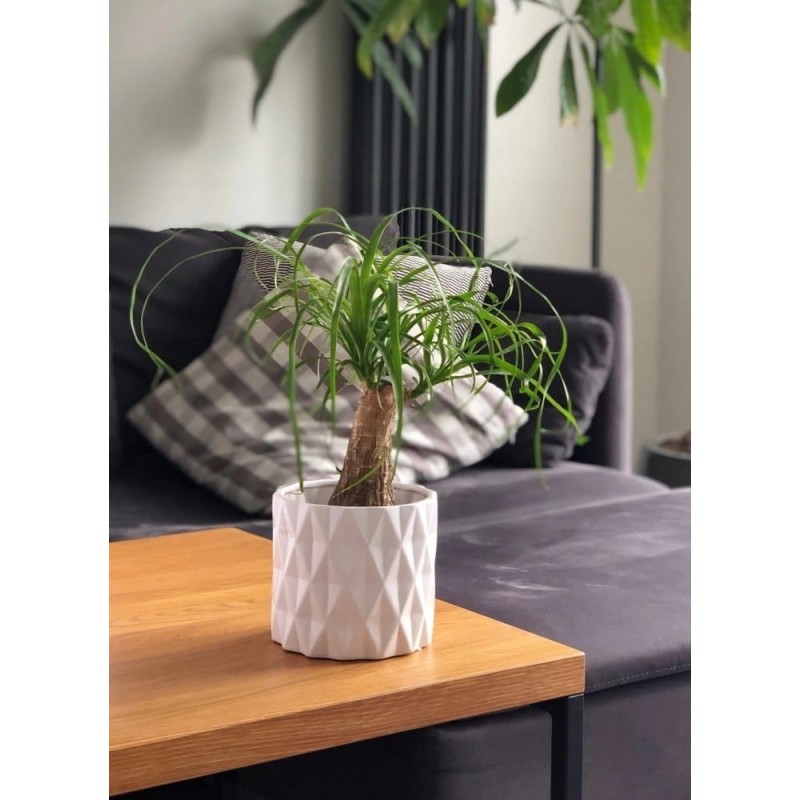 DONICZKA OSŁONKA CERAMICZNA BIAŁA OZDOBA