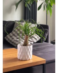 DONICZKA OSŁONKA CERAMICZNA BIAŁA OZDOBA