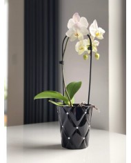 DONICZKA OSŁONKA CERAMICZNA NA STORCZYK CZARNA