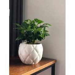 DONICZKA OSŁONKA CERAMICZNA BIAŁA 13 CM DONICZKI