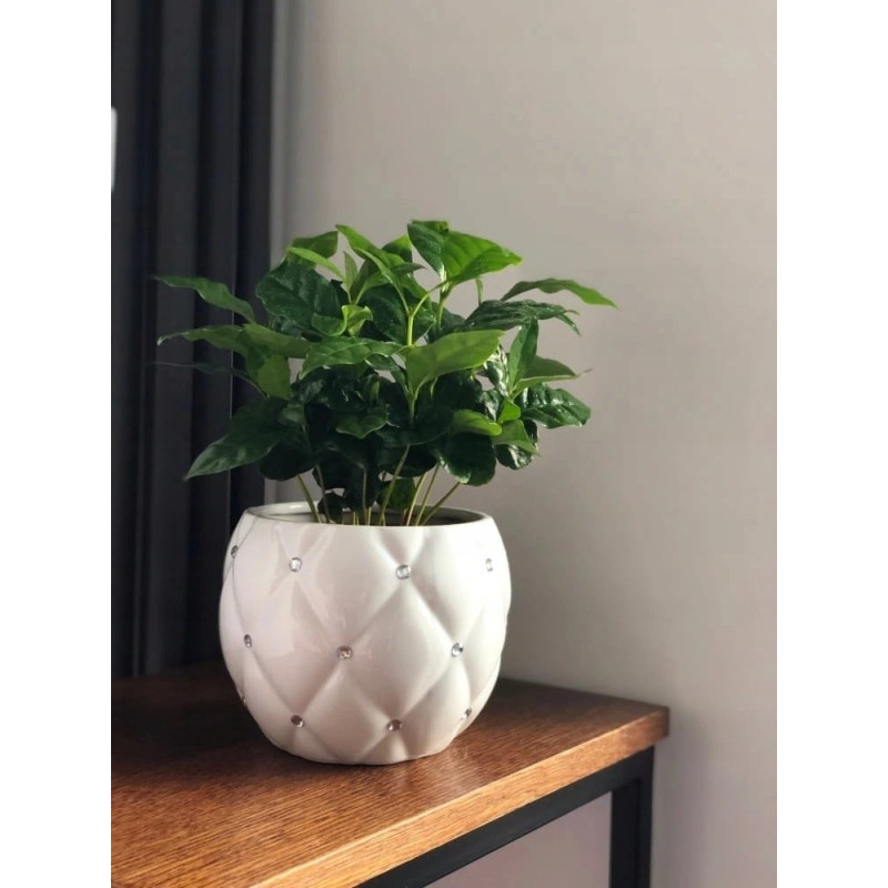 DONICZKA OSŁONKA CERAMICZNA BIAŁA 13 CM DONICZKI