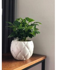 DONICZKA OSŁONKA CERAMICZNA BIAŁA 13 CM DONICZKI