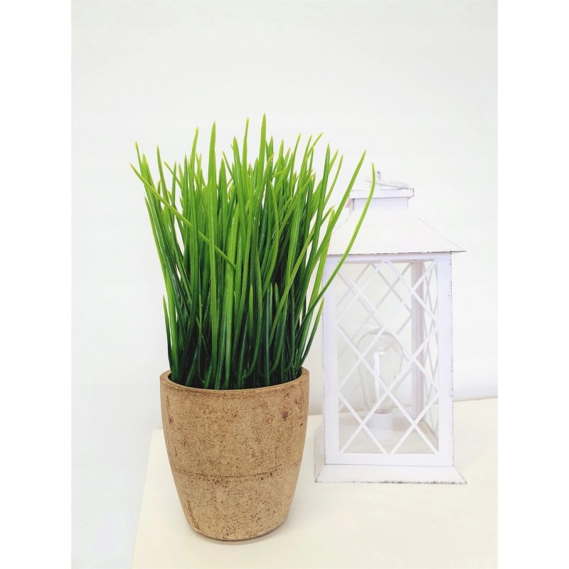TRAWA W DONICZCE 30CM TRAWY DOKORACJA OZDOBA