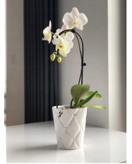 DONICZKA OSŁONKA CERAMICZNA NA STORCZYK BIAŁA