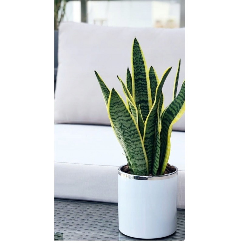 DONICZKA OSŁONKA CERAMICZNA BIAŁA DONICZKI OSŁONKI