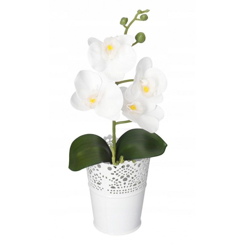 STORCZYK ORCHIDEA DO DONICZKI 38CM 4 GŁÓWKI
