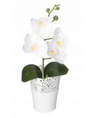 STORCZYK ORCHIDEA DO DONICZKI 38CM 4 GŁÓWKI