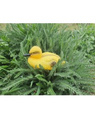 KACZKA KACZUSZKA FIGURKA OGRODOWA FIGURKI 1SZT