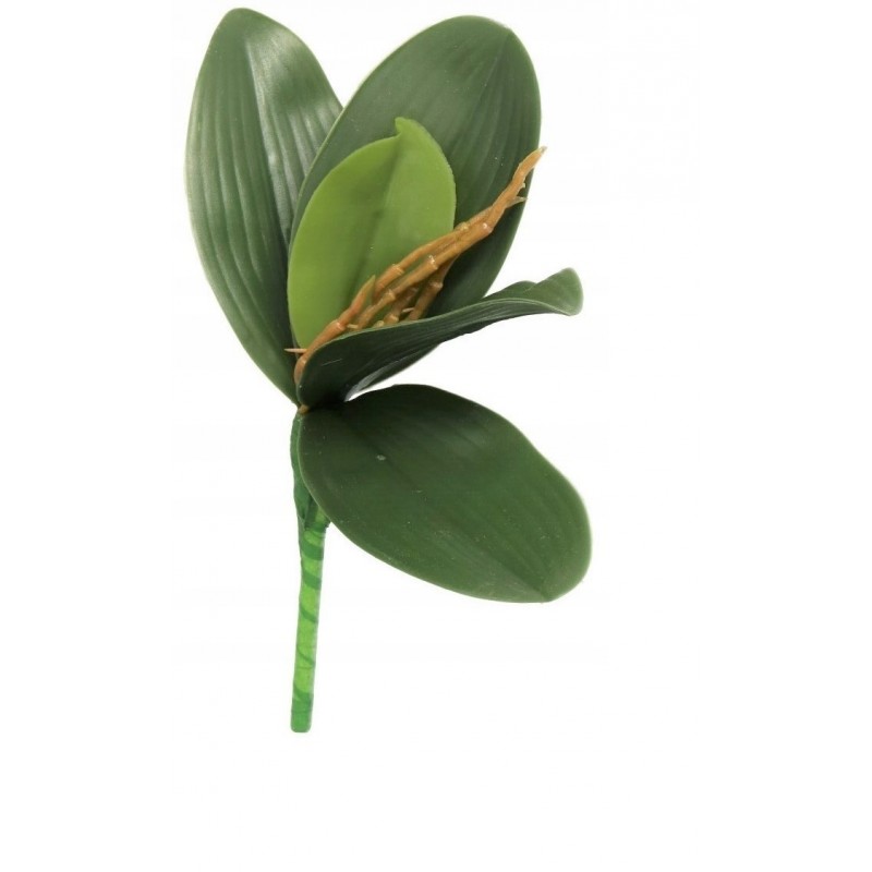 LIŚĆ LIŚCIE STORCZYKA STORCZYK LIŚCIE GUMOWE