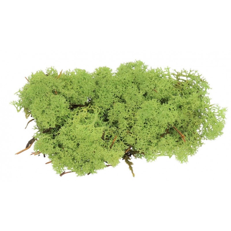 MECH CHROBOTEK 35G OZDOBA NATURALNA DEKORACJA