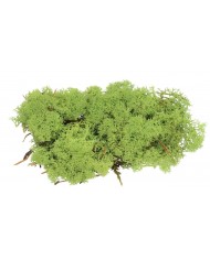 MECH CHROBOTEK 35G OZDOBA NATURALNA DEKORACJA