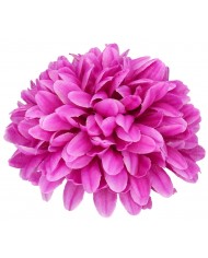 SZTUCZNE KWIATY HORTENSJA GŁÓWKA DO WYRABIANIA XXL