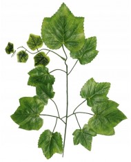 LIŚĆ SZTUCZNE LIŚCIE GAŁĄZKI NA STROIK 12SZT WINOGRONO