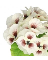 BRATKI BUKIET BRATKÓW GĘSTY DUŻY SZTUCZNE KWIATY 28CM