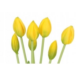 TULIPANY BUKIET TULIPANÓW GUMOWANE GUMOWE SILIKONOWE JAK ŻYWE 7SZT