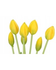 TULIPANY BUKIET TULIPANÓW GUMOWANE GUMOWE SILIKONOWE JAK ŻYWE 7SZT