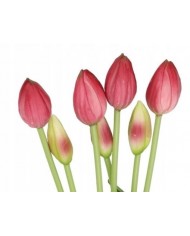 TULIPANY BUKIET TULIPANÓW GUMOWANE GUMOWE SILIKONOWE JAK ŻYWE 7SZT