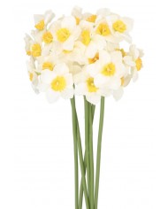 ŻONKILE BUKIET ŻONKILI 41CM 6 GAŁ SZTUCZNE KWIATY