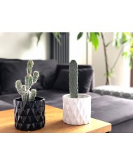 DONICZKA OSŁONKA CERAMICZNA BIAŁA OZDOBA