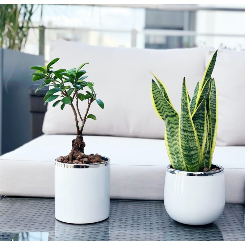 DONICZKA OSŁONKA CERAMICZNA BIAŁA DONICZKI OSŁONKI