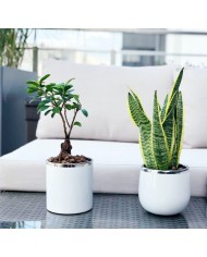 DONICZKA OSŁONKA CERAMICZNA BIAŁA DONICZKI OSŁONKI