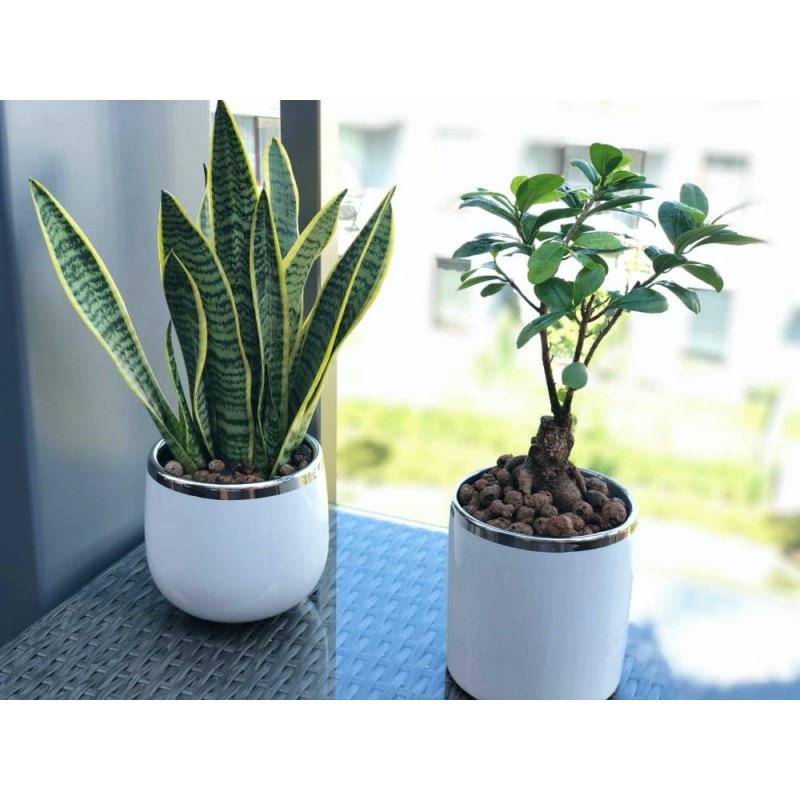 DONICZKA OSŁONKA CERAMICZNA BIAŁA DONICZKI OSŁONKI