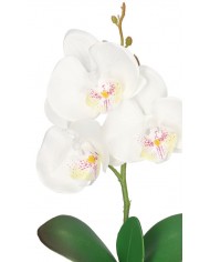 STORCZYK ORCHIDEA SZTUCZNE KWIATY W DONICZCE