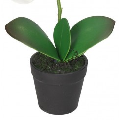 STORCZYK ORCHIDEA SZTUCZNE KWIATY W DONICZCE