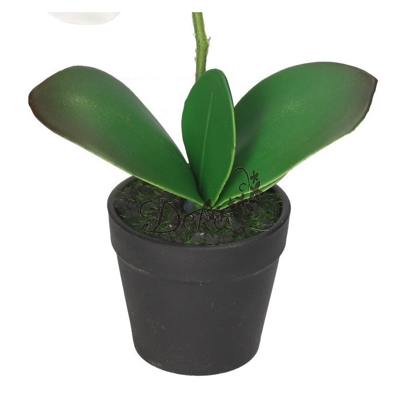 STORCZYK ORCHIDEA SZTUCZNE KWIATY W DONICZCE