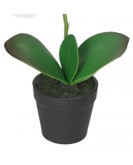 STORCZYK ORCHIDEA SZTUCZNE KWIATY W DONICZCE