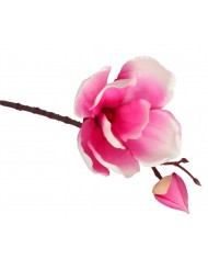 SZTUCZNE KWIATY ROŚLINY GAŁĄZKI GAŁĄZKA MAGNOLIA