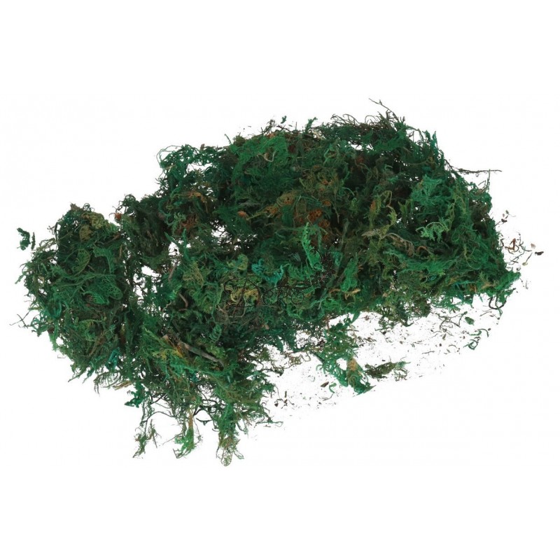 MECH CHROBOTEK 30G OZDOBA NATURALNA DEKORACJA