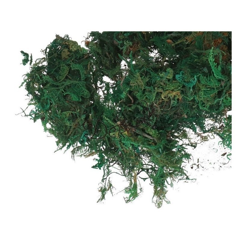 MECH CHROBOTEK 30G OZDOBA NATURALNA DEKORACJA