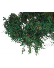 MECH CHROBOTEK 30G OZDOBA NATURALNA DEKORACJA