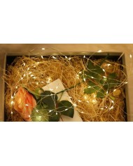 LAMPKI LED NA CHOINKĘ DRUCIK NA BATERIĘ 5M CIEPŁE