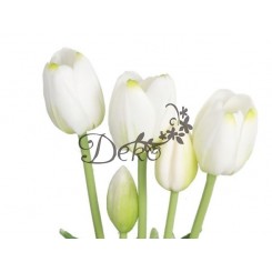 TULIPANY BUKIET TULIPANÓW GUMOWANE GUMOWE SILIKONOWE JAK ŻYWE