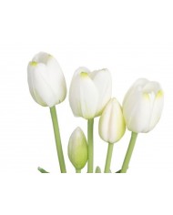 TULIPANY BUKIET TULIPANÓW GUMOWANE GUMOWE SILIKONOWE JAK ŻYWE