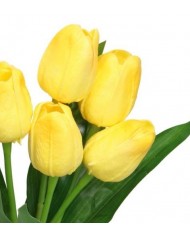 TULIPANY BUKIET TULIPANÓW GUMOWANE GUMOWE SILIKONOWE JAK ŻYWE