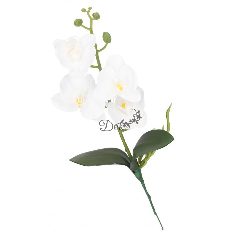 STORCZYK ORCHIDEA DO DONICZKI 38CM 4 GŁÓWKI