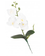STORCZYK ORCHIDEA DO DONICZKI 38CM 4 GŁÓWKI