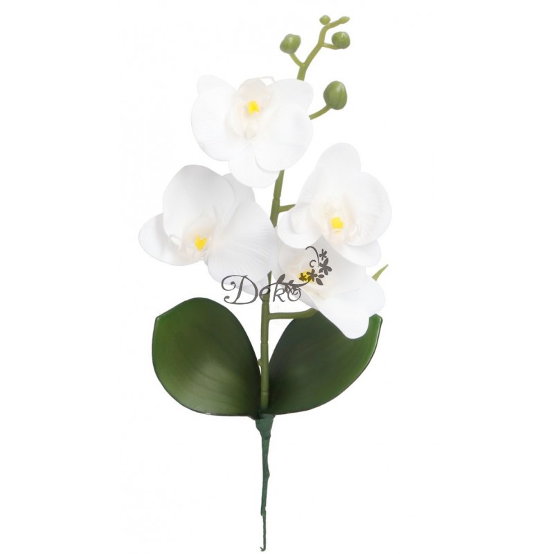 STORCZYK ORCHIDEA DO DONICZKI 38CM 4 GŁÓWKI