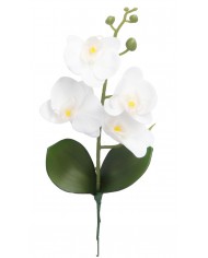 STORCZYK ORCHIDEA DO DONICZKI 38CM 4 GŁÓWKI