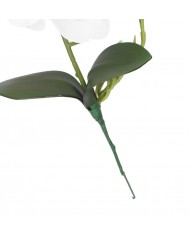 STORCZYK ORCHIDEA DO DONICZKI 38CM 4 GŁÓWKI