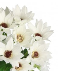 SZTUCZNE KWIATY ROŚLINY BUKIET GAŁĄZKI KWIATY POLNE