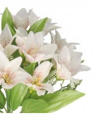 SZTUCZNE KWIATY GAŁĄZKI ROŚLINY LILIA LILIE JAK ŻYWE