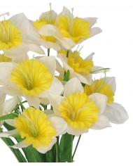 ŻONKILE BUKIET ŻONKILI GĘSTY DUŻY SZTUCZNE KWIATY