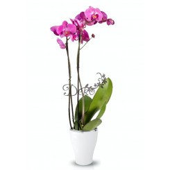 DONICZKA OSŁONKA CERAMICZNA NA STORCZYK BIAŁA