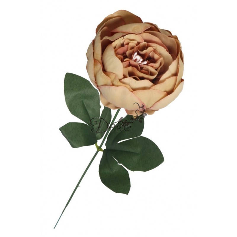 PIWONIA PEONIA GAŁĄZKA POJEDYNCZA DUŻA JAK ŻYWA