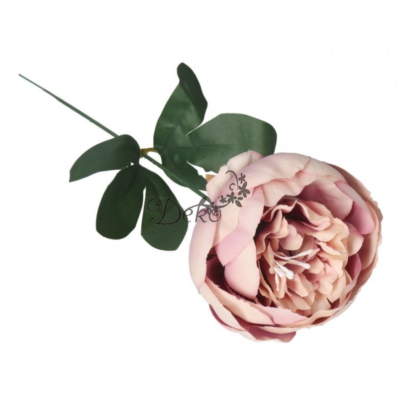 PIWONIA PEONIA GAŁĄZKA POJEDYNCZA DUŻA JAK ŻYWA